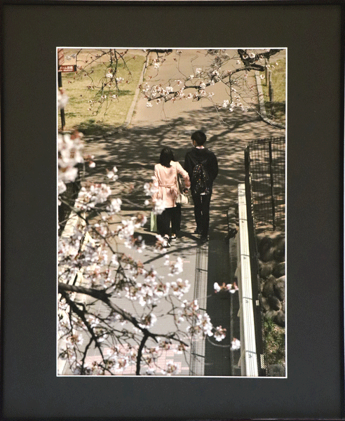 観桜苑のイメージ