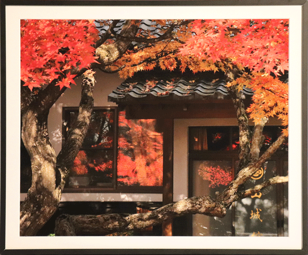 窓に映る秋のイメージ