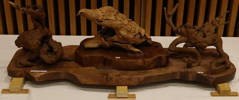 自然木（切り株）の魅力